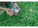 TTArtisan Festbrennweite APS-C 50 mm f1.2 – MFT