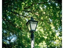 TTArtisan Festbrennweite APS-C 50 mm f1.2 – MFT
