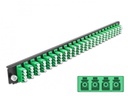 Delock Verteilerplatte Frontblende 24 Port LC Quad OS2 SM grün