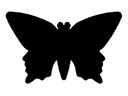 WEDO Motivstanzer Schmetterling, 1.5 cm