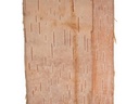 Opiflor Birkenband 10 x 200 cm
