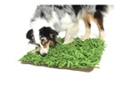 KNAUDER'S BEST Hunde-Spielzeug   Schnüffelrasen
