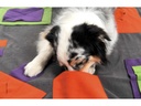 KNAUDER'S BEST Hunde-Spielzeug Sniffpad