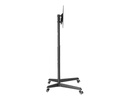 Neomounts by NewStar TV-Trolley FL50-540BL1 bis 50 kg – Schwarz