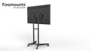 Neomounts by NewStar TV-Trolley FL50-540BL1 bis 50 kg – Schwarz
