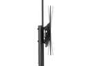 Neomounts by NewStar TV-Trolley FL50-550BL1 bis 50 kg – Schwarz