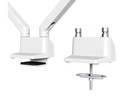 Neomounts by NewStar Tischhalterung FPMA-D750DWHITE2 bis 8 kg – Weiss