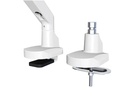 Neomounts by NewStar Tischhalterung FPMA-D750WHITE2 bis 8 kg – Weiss