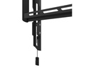 Neomounts by NewStar Wandhalterung WL30-550BL18 Schwarz