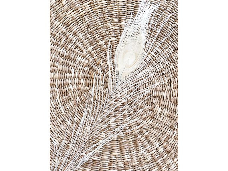 Soli Collection Trockenblumen Pfaufedern 90 cm, Weiss