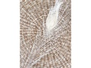 Soli Collection Trockenblumen Pfaufedern 90 cm, Weiss