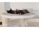 PetHomes Havanna 198cm weiss