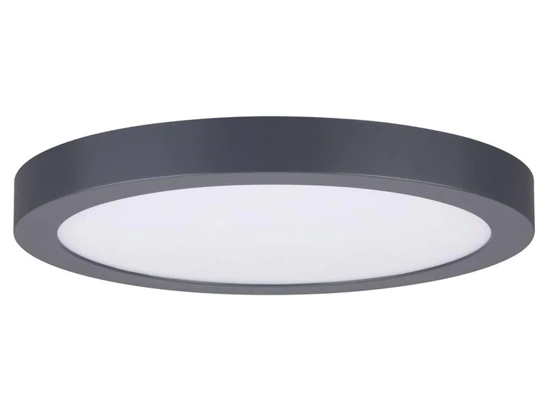 Paulmann Deckenleuchte Abia 2700 K 300 mm, Dunkelgrau