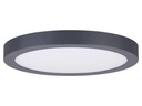 Paulmann Deckenleuchte Abia 2700 K 300 mm, Dunkelgrau