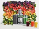 Sage Entsafter Nutri Juicer Cold Silber/Schwarz