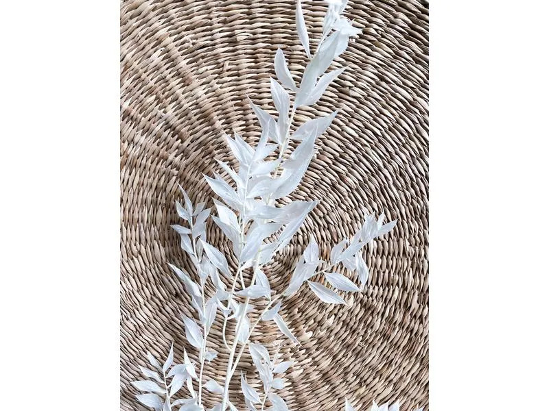 Soli Collection Trockenblumen Ruscus 70-75 cm, Weiss