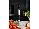 Moulinex Stabmixer Infinyforce Pro Mix Schwarz/Silber