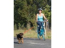 M-Wave Halter für Sattelstange Dog Walk