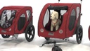 PetEgo DOG Kasko Bicycle Pet Trailler L
