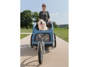 PetSafe Umbau-Kit zu Buggy, zu Solvit L