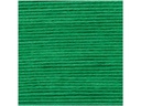 Rico Design Wolle Creative Ricorumi DK 25 g, Grün