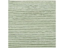 Rico Design Wolle Creative Ricorumi DK 25 g, Mint