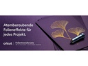 Cricut Werkzeug Folientransfer Set