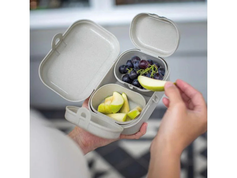 Koziol Lunchbox Pascal Ready Mini Grau