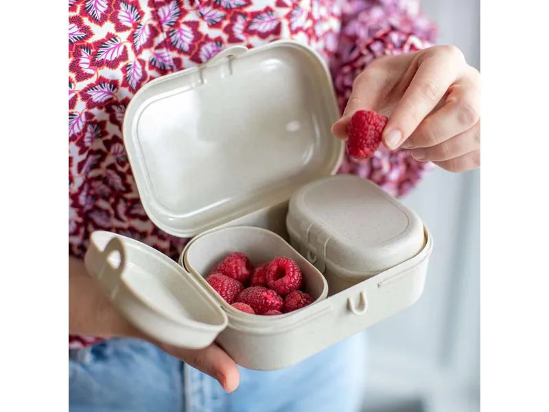 Koziol Lunchbox Pascal Ready Mini Grau