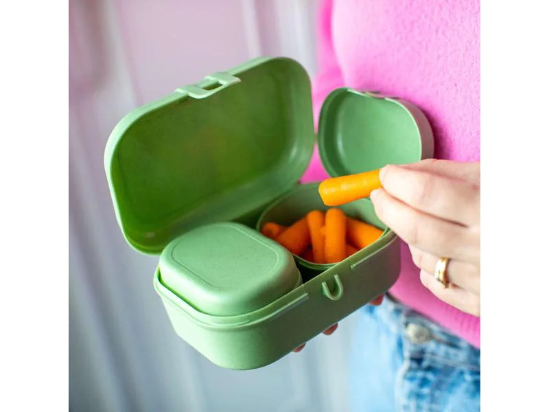 Koziol Lunchbox Pascal Ready Mini Grau
