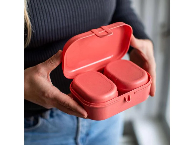 Koziol Lunchbox Pascal Ready Mini Grau