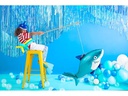 Partydeco Partyaccessoire Vorhang 90 x 250 cm, Dunkelblau