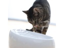 Lucky-Kitty Wasserautomat Keramik, Weiss