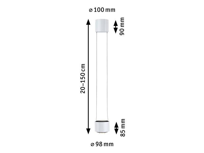 Paulmann Pendelleuchte Aldan, 13W, 2700 K, Schwarz/Weiss