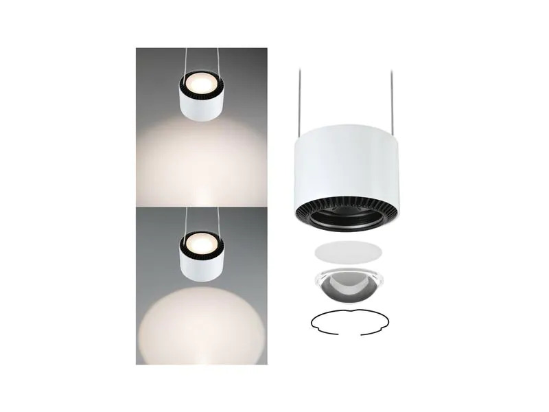 Paulmann Pendelleuchte Aldan, 13W, 2700 K, Schwarz/Weiss