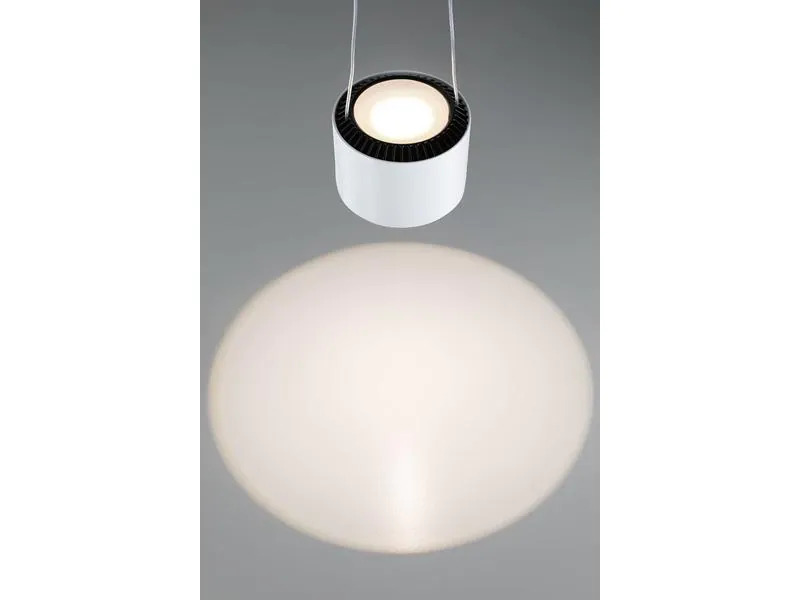 Paulmann Pendelleuchte Aldan, 13W, 2700 K, Schwarz/Weiss