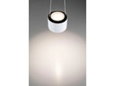Paulmann Pendelleuchte Aldan, 13W, 2700 K, Schwarz/Weiss