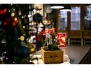 Viltrox Festbrennweite AF 50/1.8 FE – Sony E-Mount