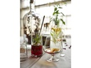 Zone Denmark Cognacglas Rocks 500 ml, 2 Stück, Transparent