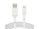 Belkin USB-Ladekabel Boost Charge USB-A - Lightning 0.15 m