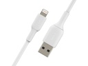 Belkin USB-Ladekabel Boost Charge USB-A - Lightning 0.15 m