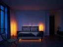 Philips Hue Tischleuchte Gradient Signe, 11.8 W, Oak