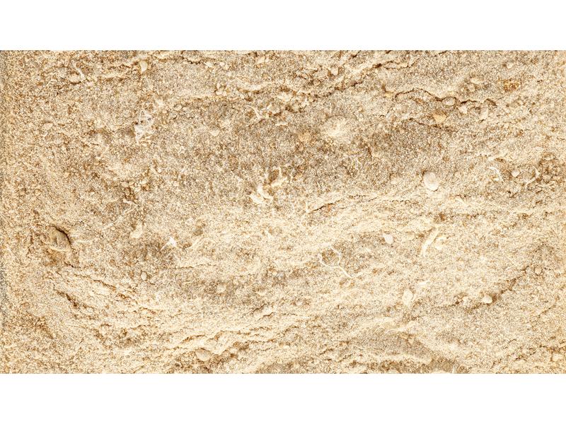 Eric Schweizer Hunde-Nahrungsergänzung Easy Barf Pro Active Pulver, 300g