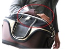 SwissPet Tiertransport-Tasche Sleepyway, S