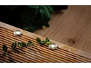 Paulmann Gartenspot Plug &amp; Shine MICROPEN II 3000 K, 5 Stück