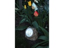 Star Trading Gartenspot SOLAR Rocky Amber