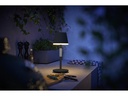 Philips Hue Tischleuchte White &amp; Color Ambiance Go, Schwarz