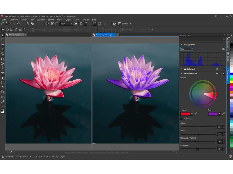 Corel CorelDraw Graphics Suite Agnostic Box, Subscr.,1yr, WIN, ML