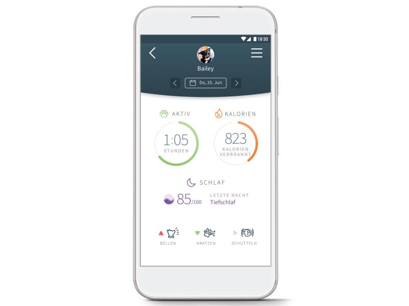 Sure Petcare Verhaltens- und Aktivitätsmonitor Animo