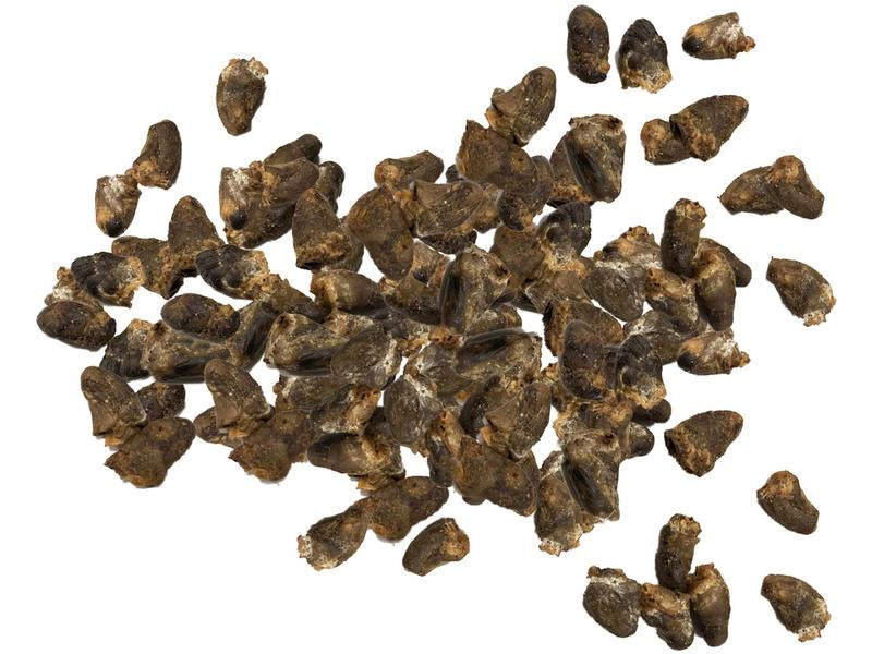 NATUREonly Kauartikel Pouletherzen, 110 g